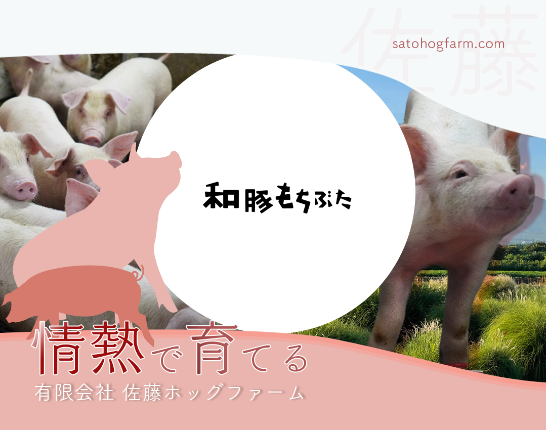 和豚もちぶた - 有限会社佐藤ホッグファーム
